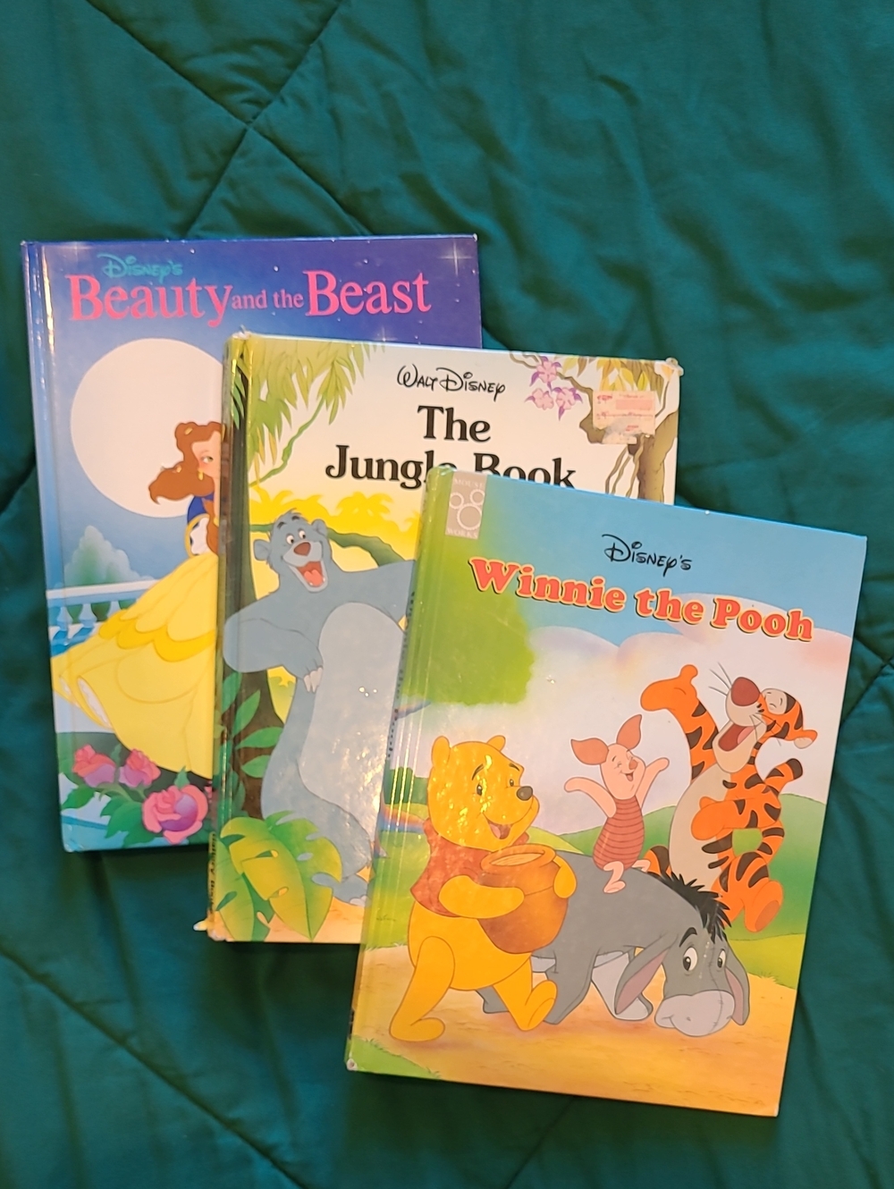 Large Disney Books